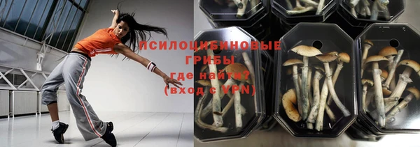 круглые Магас