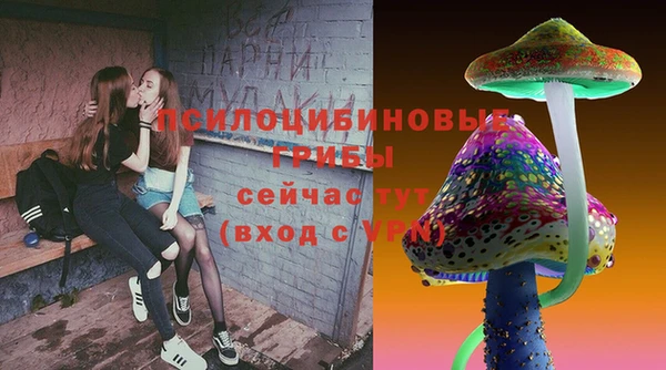 шишки Магадан
