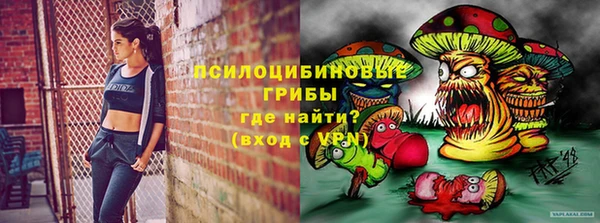 шишки Магадан
