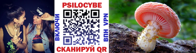 Купить где  Инта  Галлюциногенные грибы мухоморы 